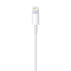 Cable Lightning USB 1m - iPhone Accesorios - Apple