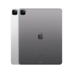🔥¡Compra ya tu iPad Pro 12.9 Wifi 256GB Gris en icanarias.online!