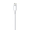 Cable USB 2m - iPhone Accesorios - Apple