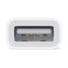 Conector Lightning USB - iPhone Accesorios - Apple