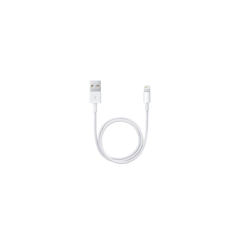 Cable Lightning USB 0.5m - iPhone Accesorios - Apple