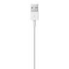 Cable Lightning USB 0.5m - iPhone Accesorios - Apple