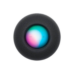 HomePod Mini Gris