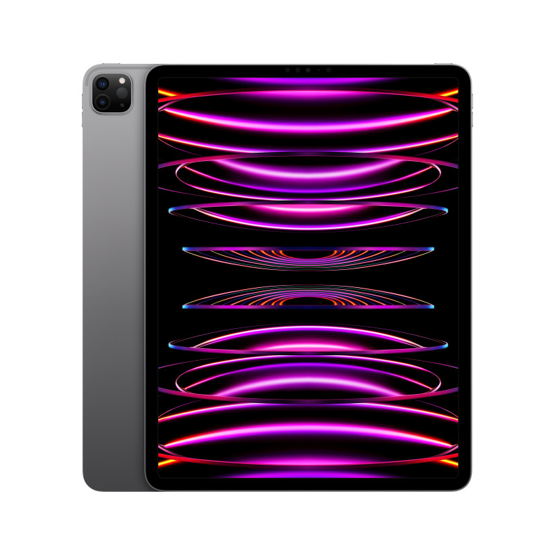 iPad Pro 12.9 Wifi 1TB Gris