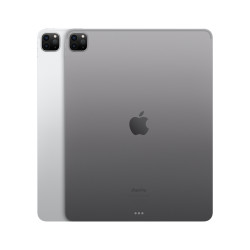 iPad Pro 12.9 Wifi 1TB Gris