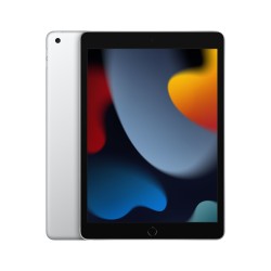 🔥¡Compra ya tu iPad 10.2 Wifi 256GB Plata en icanarias.online!