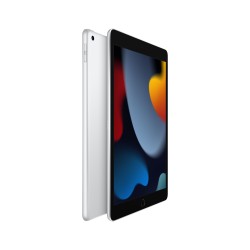 🔥¡Compra ya tu iPad 10.2 Wifi 256GB Plata en iCanarias.online!