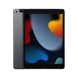 🔥Compra iPad 10.2 Wifi Celular 256GB Gris en iCanarias.online