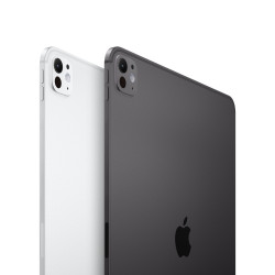 iPad Pro 11 M4 WiFi 512GB Plata