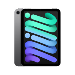 iPad mini WiFi 256GB Gris Espacial