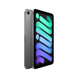 iPad mini WiFi Cell 128GB Gris Espacial