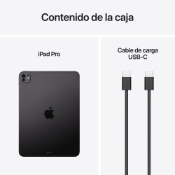 iPad Pro 13 M5 Wi‑Fi Cell 256GB Negro Espacial
