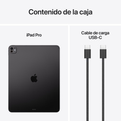 iPad Pro 13 M5 Wi‑Fi Cell 2TB Negro Espacial