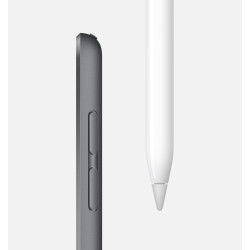 iPad mini Wi-Fi 256GB 5 Gen Gris Reacondicionado
