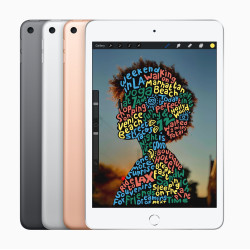 iPad mini Wi-Fi 256GB 5 Gen Gris Reacondicionado